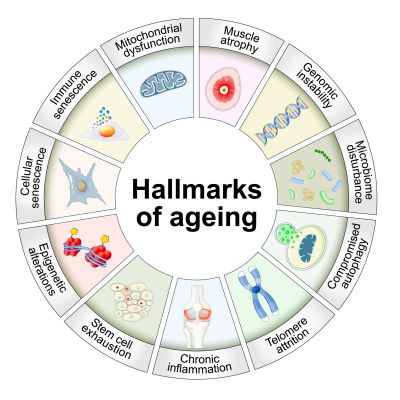 Close-up of a plasma globe with vibrant neon sparks against a dark background.